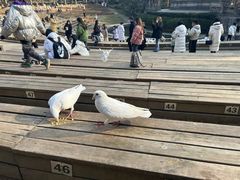 -祥鹤龙虾螃蟹