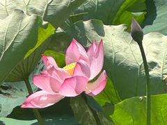 -高淳老街