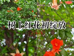 -衣裳街历史文化街区