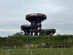 -芒洲湿地公园