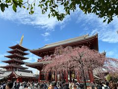 -浅草寺
