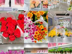 -盒马X会员店(王府井奥莱UP TOWN店)