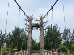 -西青郊野公园