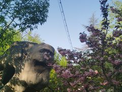 -桃花堤公园