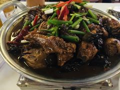 铁锅小公鸡-幸福庄园(平桥店)