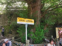 -大慈岩风景区