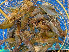 -SHRIMP CLUB万东餐饮钓虾·清吧