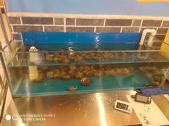 水产区-江湖水乡铁锅炖魚(周庄嘉园店)