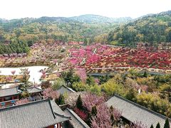 -石岛赤山风景区