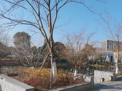 -水月周庄铂尔曼酒店 · 漾全日餐厅