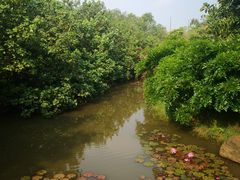 -白沙门生态公园