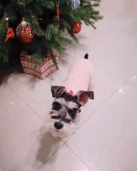 -Adore nail日式美甲美睫