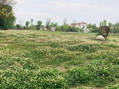 -仙海旅游度假区