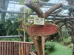 -呀路古热带植物园