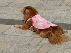 -潇湘阁(三里屯SOHO店)