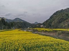 -新安江山水画廊风景区