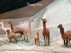 -武汉园博园(武汉自然博物馆)