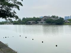 -江心屿景区