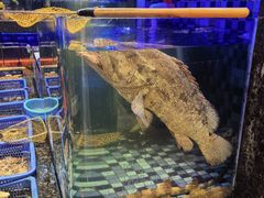 -吴记富苑(朝阳店)