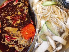 菌香鸳鸯锅-晓宇重庆火锅(赛格国际购物中心店)