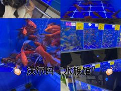 -天河沃尔玛