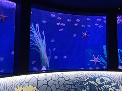 -沈阳海洋探索中心