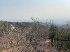 -北京西山国家森林公园