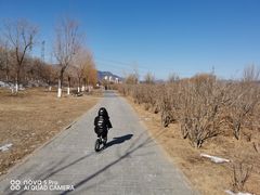 -门城湖公园