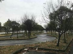 -无忧学车·华茂基地(宝山校区)