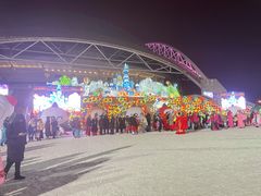 -沈阳奥体冰雪嘉年华