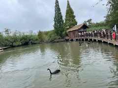 -溱湖国家湿地公园