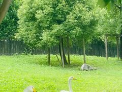 -上海野生动物园