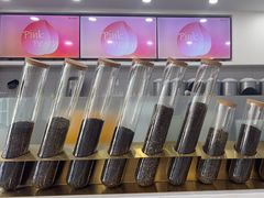 -雾与山茶(大禹城店)