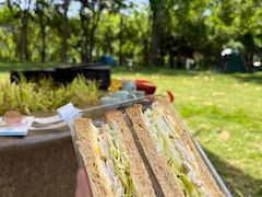 -卡吉诺动物奶油生日蛋糕(东明路店)