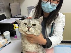 -美联众合动物医院·24h转诊中心