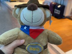 -达拉斯 沃斯堡国际机场