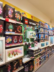 -乐高授权专卖店(朝阳大悦城店)