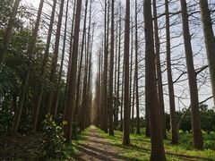 -上海长兴岛郊野公园