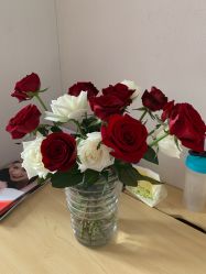 -海豚湾高端月子会所(黄浦店)