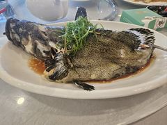 -外沙富龙城酒楼(老街店)