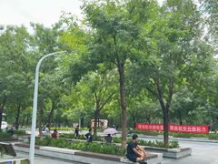 -绿堤公园