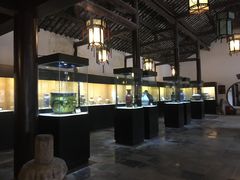 -定园