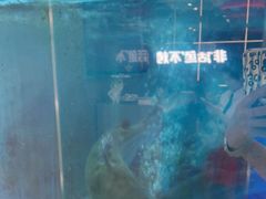 -鱼酷活鱼烤鱼(沈阳大悦城店)