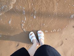 -碧海金沙