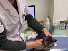 -宠福鑫康馨动物医院·骨科·眼科