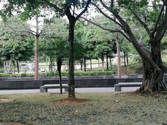 -李宁体育园