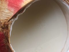 -仙本那渔人码头餐厅