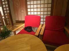 -猫的天空之城概念书店(丽江古城饮玉巷店)
