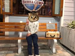 -Bubba Gump Shrimp(Ala Moana)