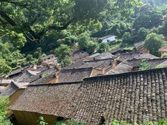 -杨家堂村